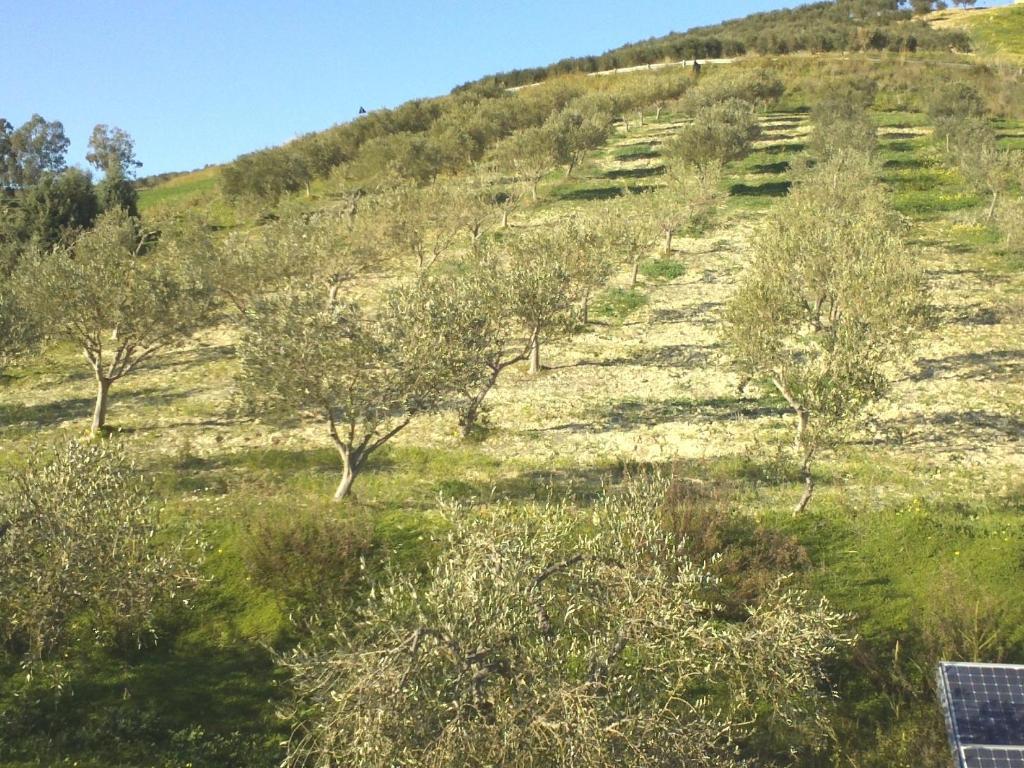 Vila Agriturismo Due Ganee Agrigento Exteriér fotografie